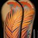 Tattoos - Color Half Sleeve - Feather and Birds - 75487